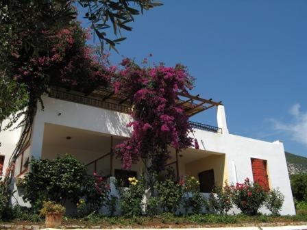 Hotel Heleni Apartments Epidaurus Extérieur photo