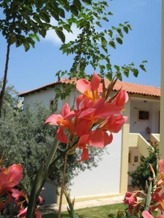 Hotel Heleni Apartments Epidaurus Extérieur photo